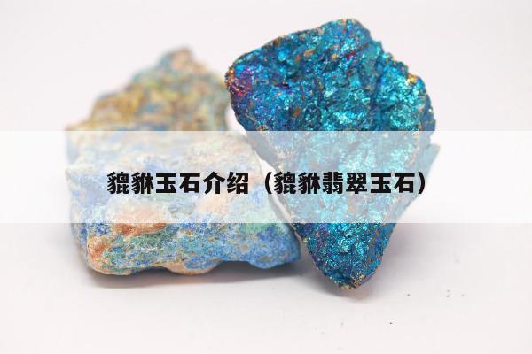 貔貅玉石介绍（貔貅翡翠玉石）