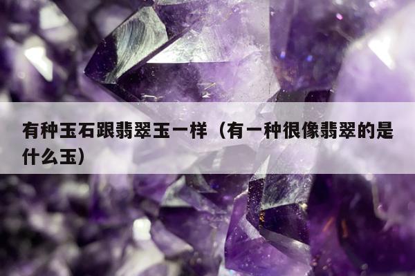 有种玉石跟翡翠玉一样（有一种很像翡翠的是什么玉）