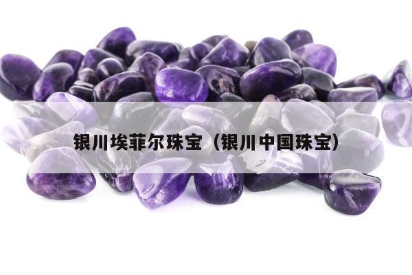 银川埃菲尔珠宝（银川中国珠宝）