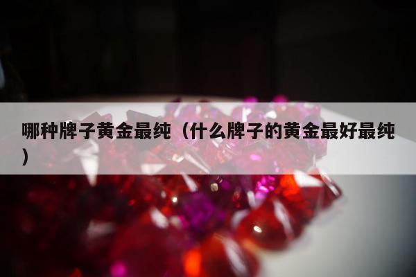 哪种牌子黄金最纯（什么牌子的黄金最好最纯）
