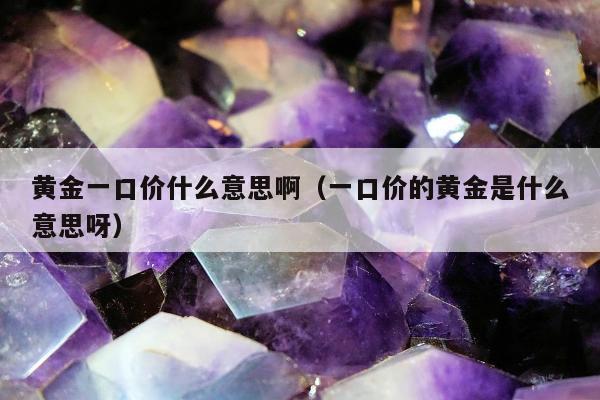 黄金一口价什么意思啊（一口价的黄金是什么意思呀）