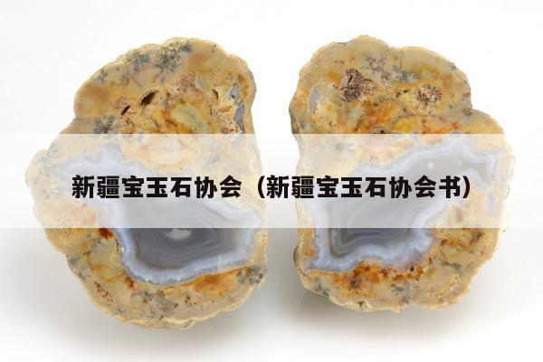 新疆宝玉石协会（新疆宝玉石协会书）