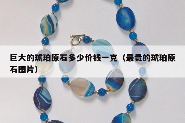 巨大的琥珀原石多少价钱一克（最贵的琥珀原石图片）