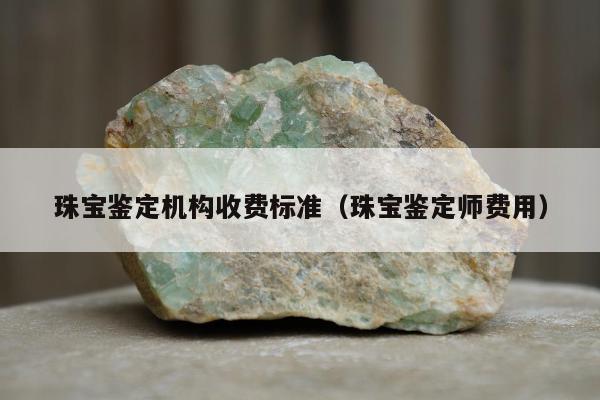 珠宝鉴定机构收费标准（珠宝鉴定师费用）