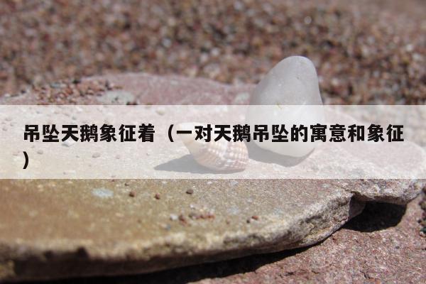 吊坠天鹅象征着（一对天鹅吊坠的寓意和象征）