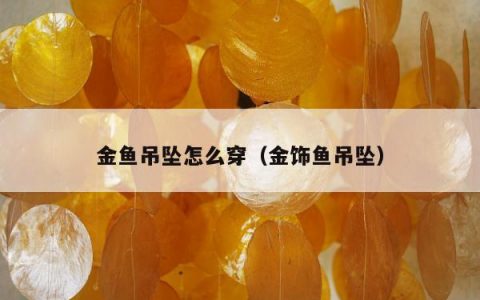 金鱼吊坠怎么穿（金饰鱼吊坠）
