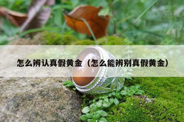 怎么辨认真假黄金（怎么能辨别真假黄金）