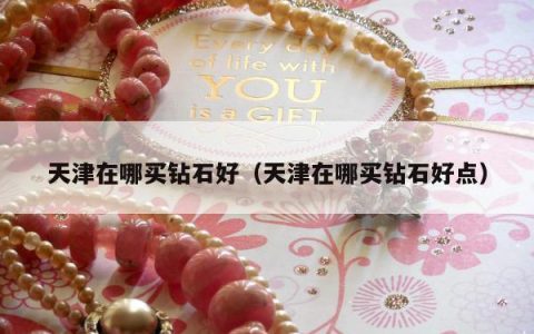 天津在哪买钻石好（天津在哪买钻石好点）