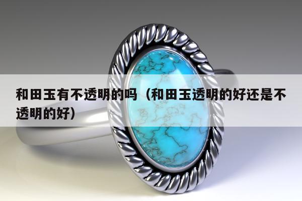 和田玉有不透明的吗（和田玉透明的好还是不透明的好）