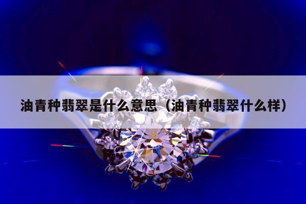 油青种翡翠是什么意思（油青种翡翠什么样）