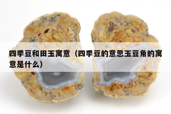 四季豆和田玉寓意（四季豆的意思玉豆角的寓意是什么）