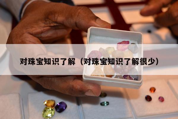 对珠宝知识了解（对珠宝知识了解很少）