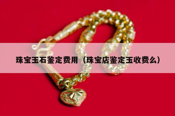 珠宝玉石鉴定费用（珠宝店鉴定玉收费么）