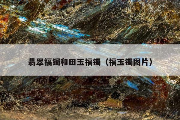 翡翠福镯和田玉福镯（福玉镯图片）