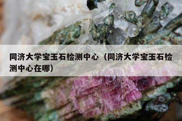 同济大学宝玉石检测中心（同济大学宝玉石检测中心在哪）