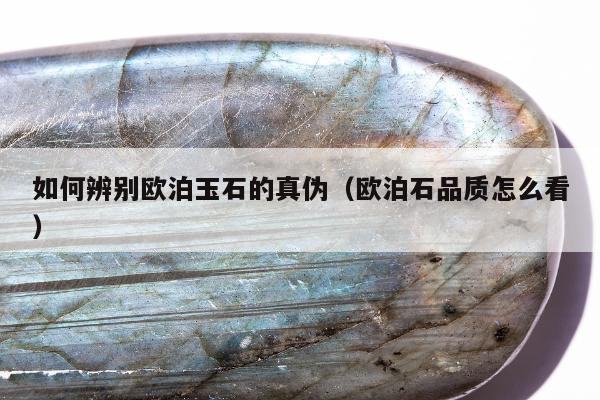 如何辨别欧泊玉石的真伪（欧泊石品质怎么看）