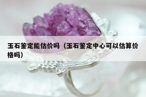 玉石鉴定能估价吗（玉石鉴定中心可以估算价格吗）