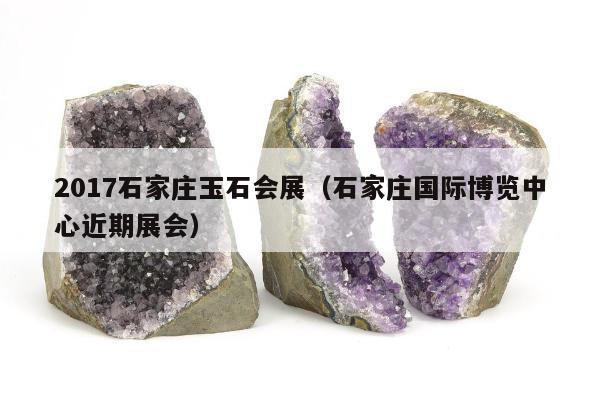 017石家庄玉石会展（石家庄国际博览中心近期展会）"