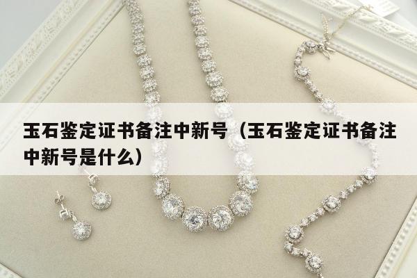 玉石鉴定证书备注中新号（玉石鉴定证书备注中新号是什么）