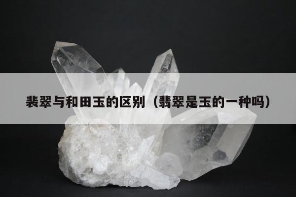 裴翠与和田玉的区别（翡翠是玉的一种吗）