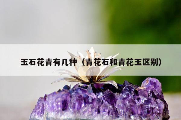 玉石花青有几种（青花石和青花玉区别）
