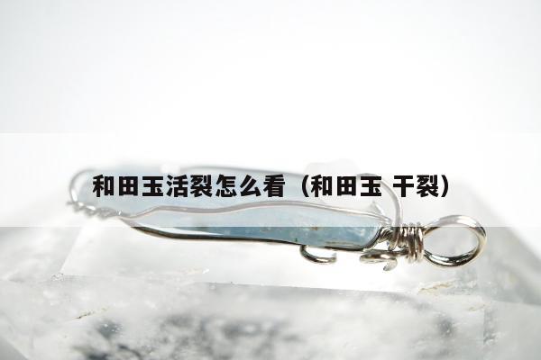 和田玉活裂怎么看（和田玉 干裂）