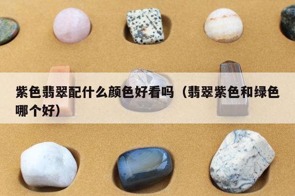 紫色翡翠配什么颜色好看吗（翡翠紫色和绿色哪个好）
