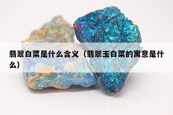 翡翠白菜是什么含义（翡翠玉白菜的寓意是什么）