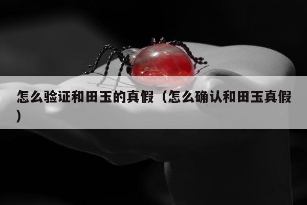 怎么验证和田玉的真假（怎么确认和田玉真假）