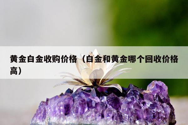 黄金白金收购价格（白金和黄金哪个回收价格高）