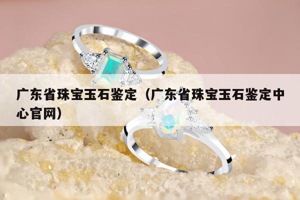 广东省珠宝玉石鉴定（广东省珠宝玉石鉴定中心官网）