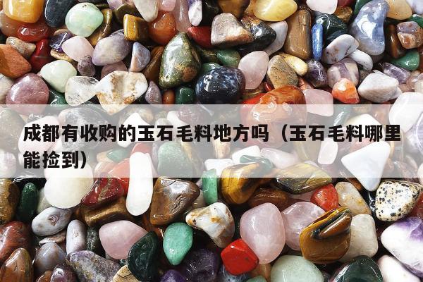 成都有收购的玉石毛料地方吗（玉石毛料哪里能捡到）
