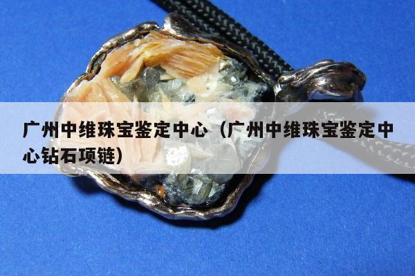 广州中维珠宝鉴定中心（广州中维珠宝鉴定中心钻石项链）