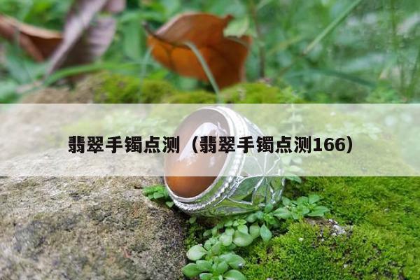 翡翠手镯点测（翡翠手镯点测166）