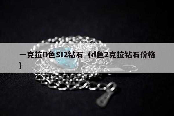 一克拉D色SI2钻石（d色2克拉钻石价格）