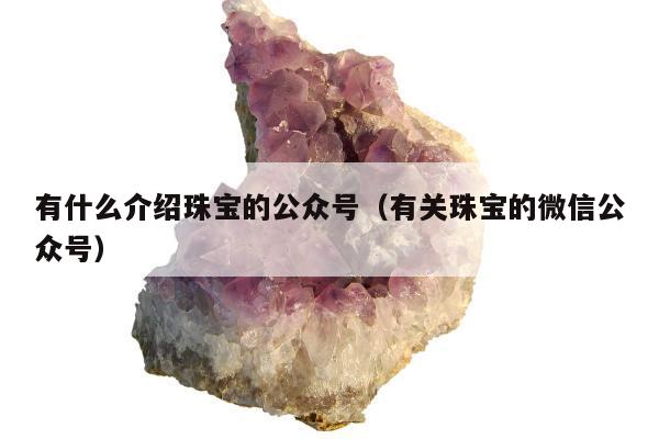有什么介绍珠宝的公众号（有关珠宝的微信公众号）