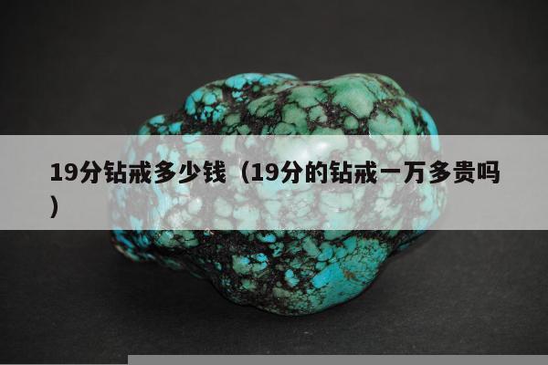 9分钻戒多少钱（19分的钻戒一万多贵吗）"