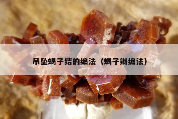 吊坠蝎子结的编法（蝎子辫编法）
