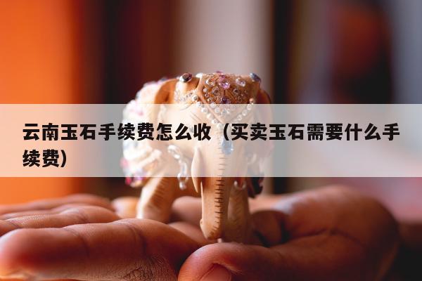 云南玉石手续费怎么收（买卖玉石需要什么手续费）