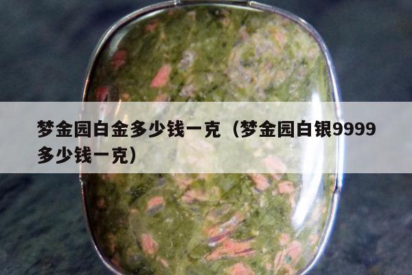 梦金园白金多少钱一克（梦金园白银9999多少钱一克）