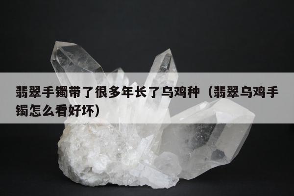 翡翠手镯带了很多年长了乌鸡种（翡翠乌鸡手镯怎么看好坏）
