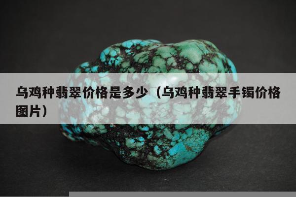 乌鸡种翡翠价格是多少（乌鸡种翡翠手镯价格图片）