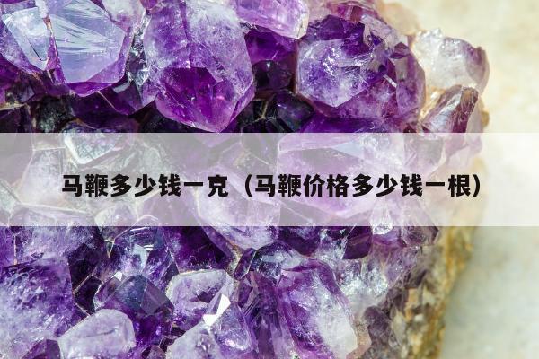 马鞭多少钱一克（马鞭价格多少钱一根）