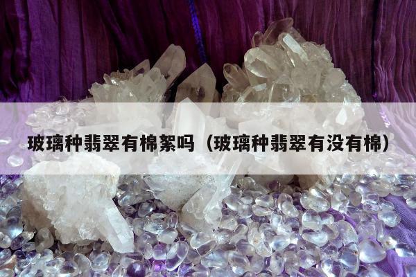 玻璃种翡翠有棉絮吗（玻璃种翡翠有没有棉）