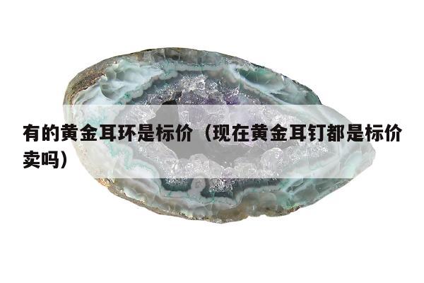 有的黄金耳环是标价（现在黄金耳钉都是标价卖吗）