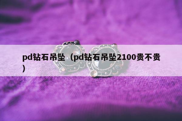 pd钻石吊坠（pd钻石吊坠2100贵不贵）