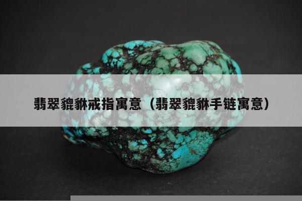 翡翠貔貅戒指寓意（翡翠貔貅手链寓意）