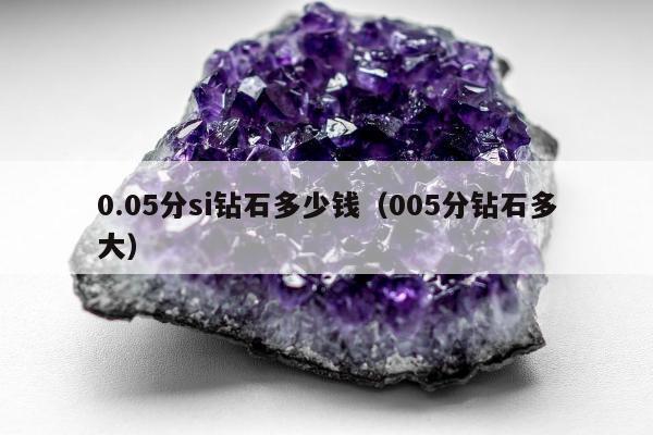 .05分si钻石多少钱（005分钻石多大）"