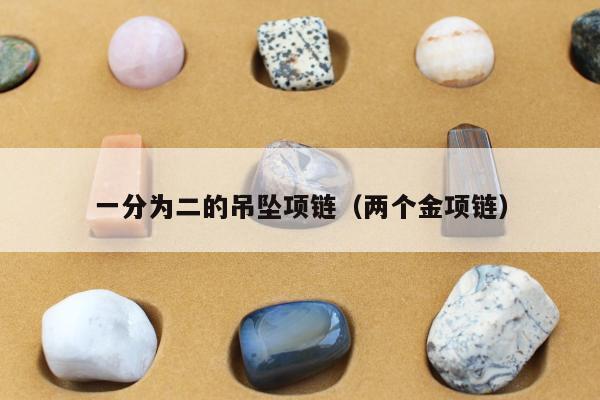 一分为二的吊坠项链（两个金项链）