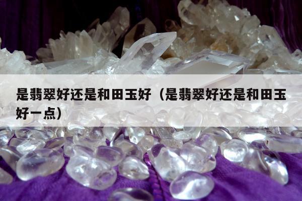 是翡翠好还是和田玉好（是翡翠好还是和田玉好一点）